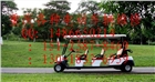 重慶電動(dòng)巡邏車、掃地車、觀光車、代步車維修