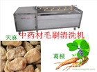 牛蒡毛輥清洗機(jī)--中草藥加工車間