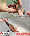 廣州超聲波清洗設(shè)備，飯店，眼睛店都有型號(hào)。生產(chǎn)廠家直銷
