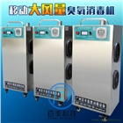 食品廠車(chē)間用臭氧殺菌機(jī)