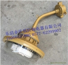 免維護(hù)無極燈 SBF6102-YQL40三防節(jié)能燈40W