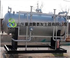 德州-聊城廢氣脫硝用臭氧發(fā)生器
