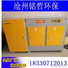 廠家定做 多元復(fù)合等離子光氧一體機 UV光解廢氣處理設(shè)備光催