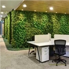 千山素集智生態植物墻智能植物墻家居辦公植物墻