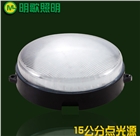 明歌新款LED點(diǎn)光源150mm像素?zé)魳怯盍粱?/></span></a><p><a href=