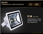 LED投光燈10W50W100W庭院燈道路綠化燈樓體亮化