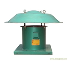 DWT屋頂風(fēng)機(jī)-東莞雅高-出廠價-大企業(yè)