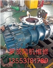 屠宰污水，生活污水，沼氣工程，脫硫工程，魚塘增氧