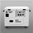 薩登8000瓦應(yīng)急發(fā)電機售后保障